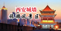 大屌操鸡巴毛涩骚网站中国陕西-西安城墙旅游风景区