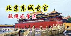 黄色美女捅鸡鸡视频中国北京-东城古宫旅游风景区